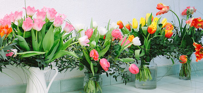 ramos de tulipanes de varios tipos