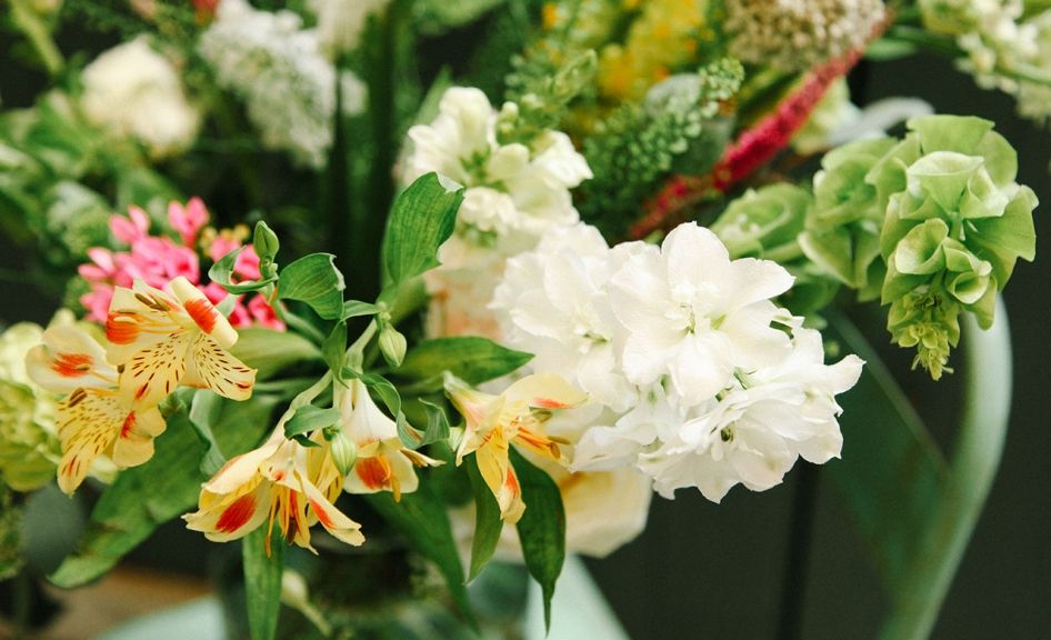 weekly blooms 26